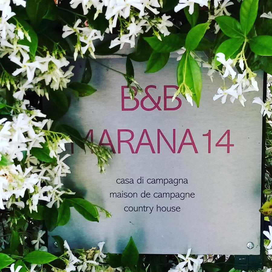 B&B Marana 14 Casa Di Campagna Bologna Kültér fotó