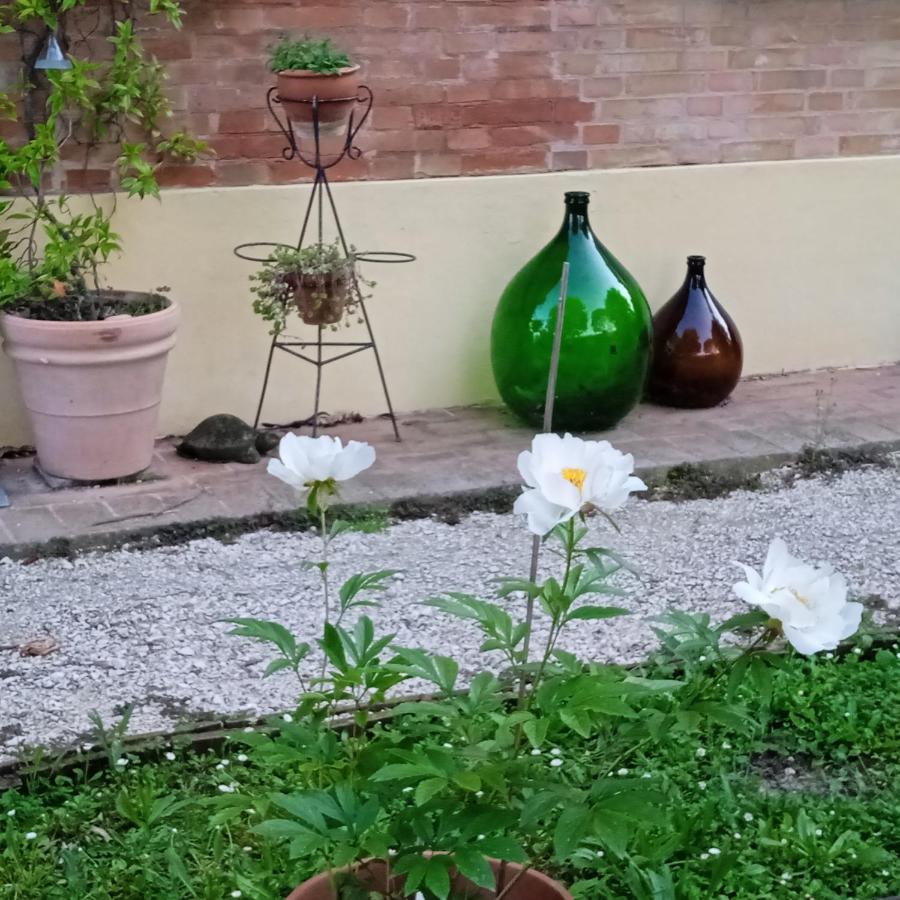 B&B Marana 14 Casa Di Campagna Bologna Kültér fotó
